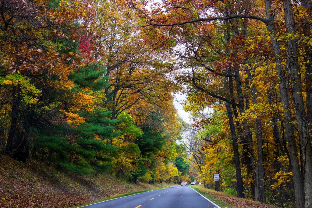 Best National Parks to See Fall Colors